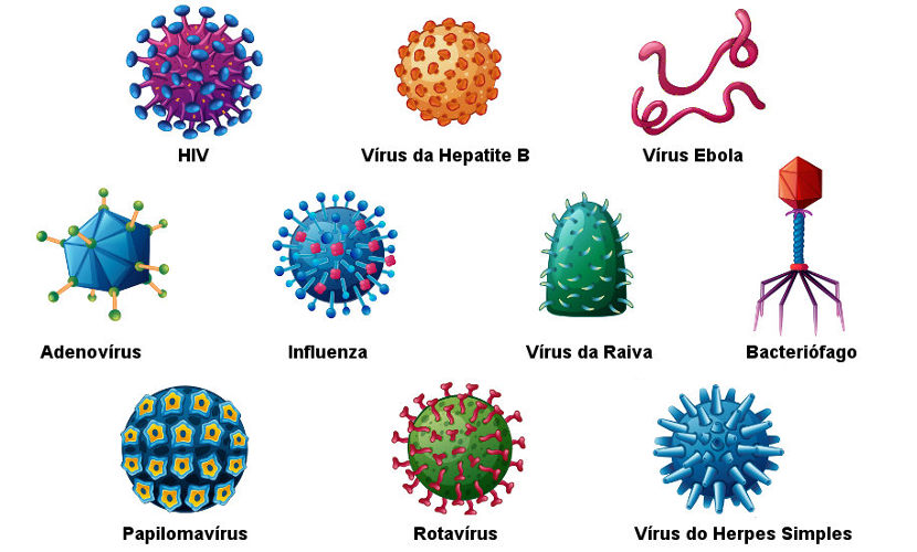 O Que é Virus