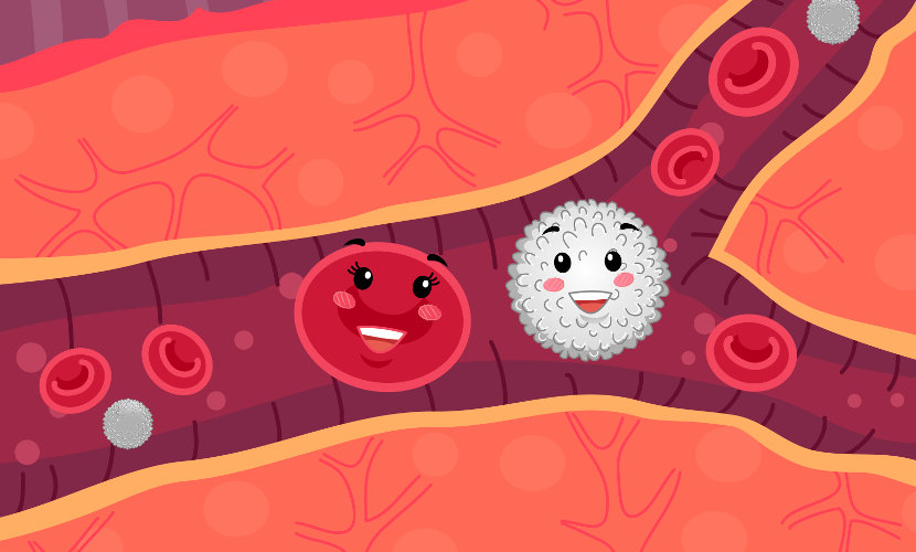 Ilustração de mascotes de glóbulos vermelhos e brancos correndo através de veias.