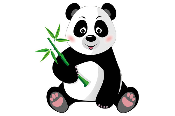 Urso panda: características, reprodução, curiosidades - Escola Kids