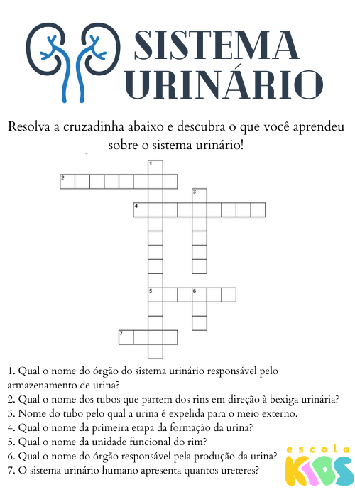 5º Ano: Jogos Educativos Sistema Nervoso e Urinário