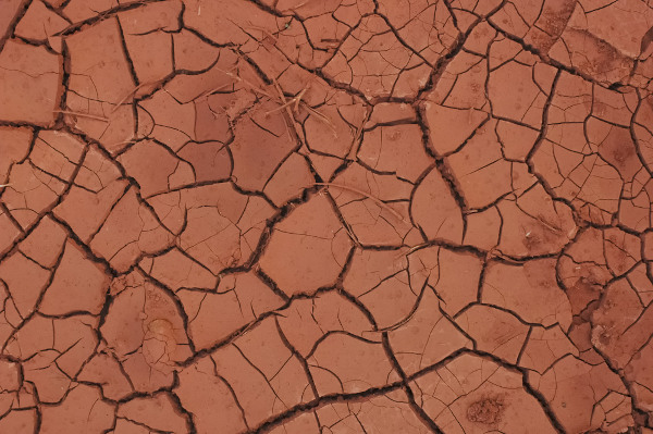 Exemplo de solo argiloso.