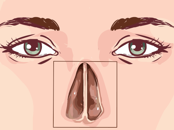 Cavidade nasal