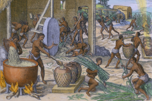 Ilustração de escravos trabalhando no engenho de açúcar