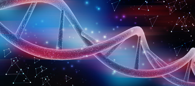 DNA e RNA são formados por nucleotídeos.
