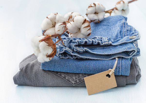 Um galho com algodão sobre duas calças como representação de uma matéria-prima e de seus produtos finais.