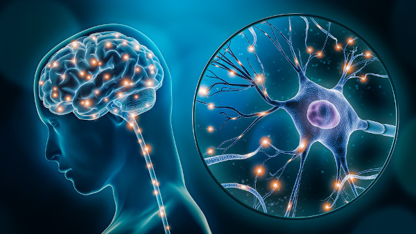 Representação do cérebro humano com pontos luminosos simulando a atividade dos neurônios no sistema nervoso.