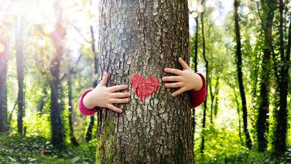 Criança abraçando tronco de árvore em analogia à importância do meio ambiente.