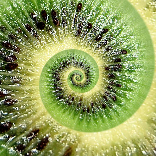 Parte interna de um kiwi com formato de fractal.