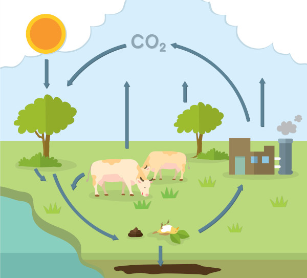 Ilustração de paisagem com vegetais, animais e fábricas, em alusão ao ciclo do carbono.