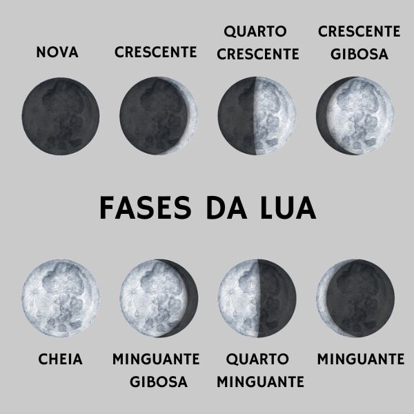 As oito fases da Lua ilustradas em céu escuro, sobre árvores.