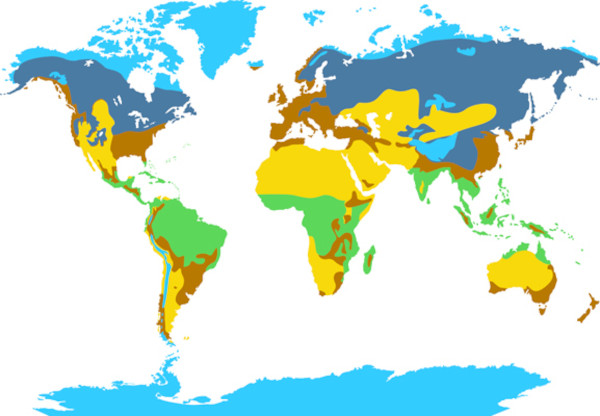 Ciências da Terra: Cartografia, Ciência ambiental, Ciências do