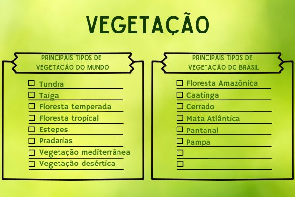 Imagem mostrando os principais tipos de vegetação do mundo e do Brasil.