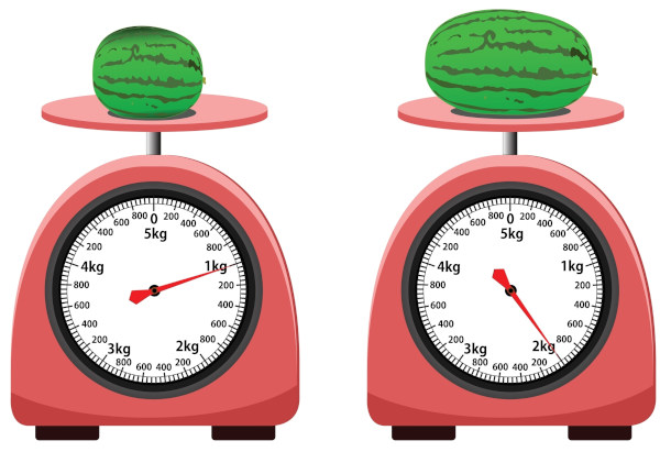 Duas melancias em cima de duas balanças, instrumentos de medidas de massa.