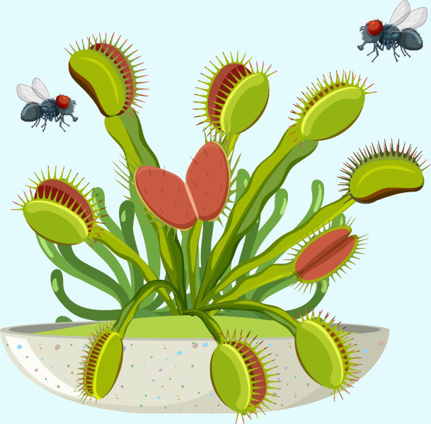 Ilustração de uma planta carnívora comendo mosquitos.