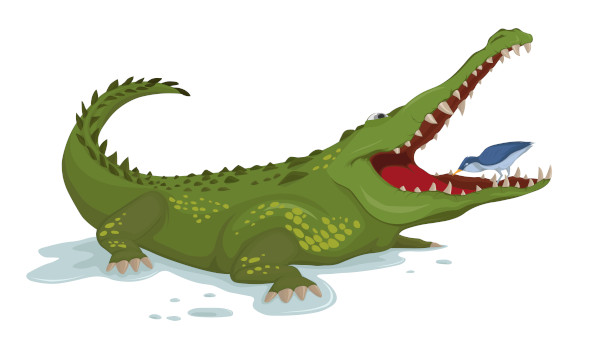 Ilustração de um passáro comendo restos na boca de um crocodilo.
