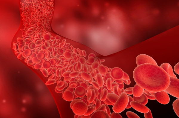 O sangue é formado por plasma, eritrócitos, leucócitos e plaquetas