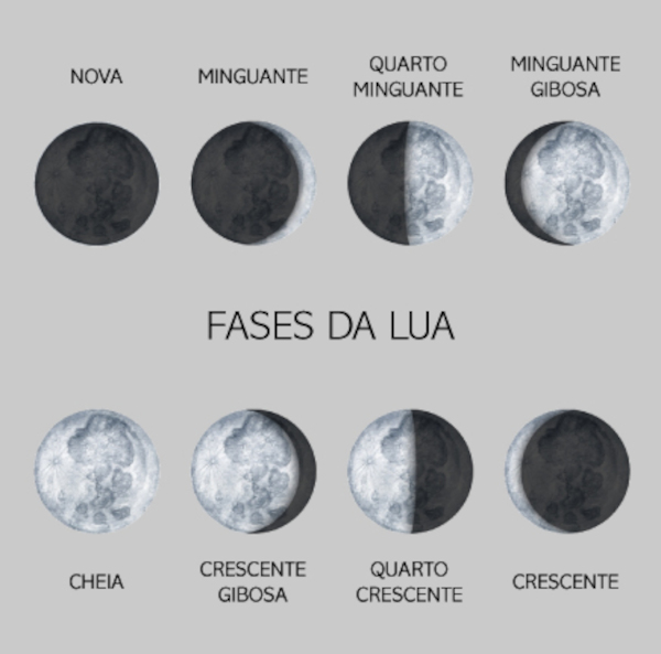 As oito fases da Lua ilustradas em céu escuro, sobre árvores.