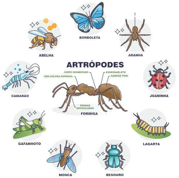 Ilustração de artópodes contendo figura de formiga, borboleta, aranha, joaninha, lagarta, besouro, mosca, gafanhoto, camarão e abelha.