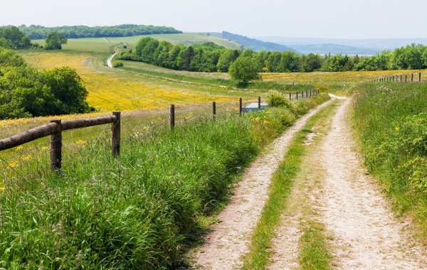 Paisagem no campo, uma alusão ao êxodo rural.