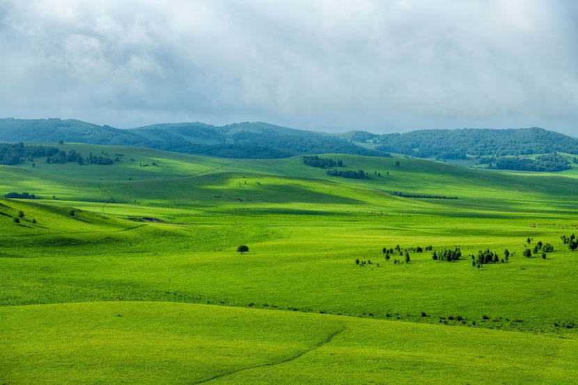 Campos, um dos tipos de bioma do mundo.