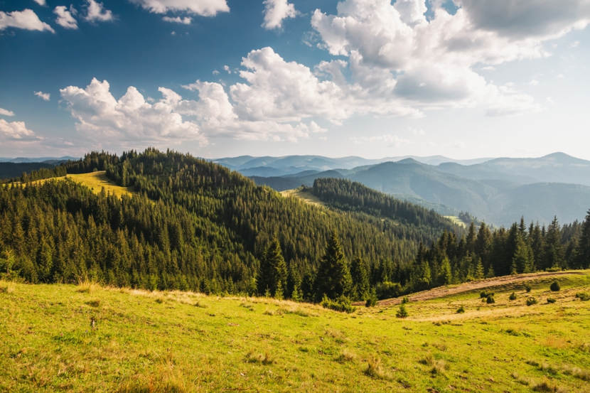 Exemplo de paisagem natural