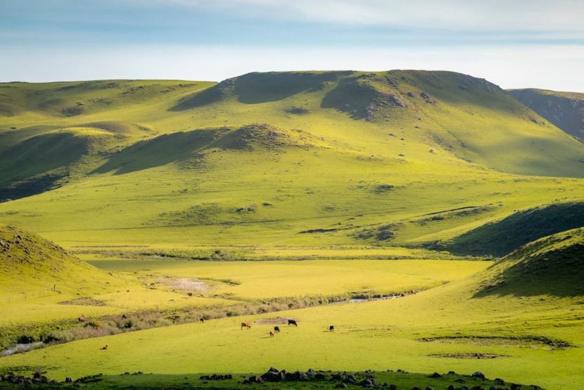 Vista dos Pampas, bioma brasileiro.
