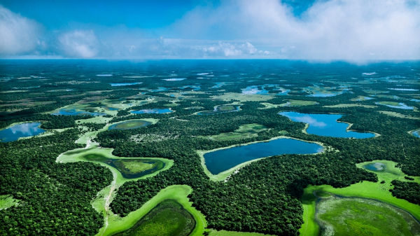 Vista das planícies alagáveis características do Pantanal.