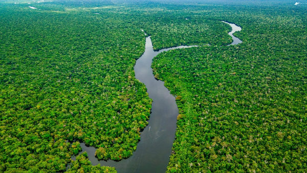 Rio Amazonas atravessando a Floresta Amazônica.