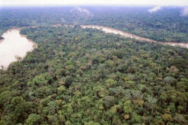 Floresta Amazônica – a maior floresta tropical do mundo