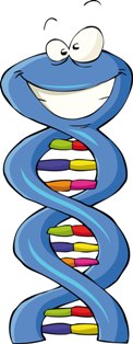 O DNA é responsável pela transmissão das características genéticas