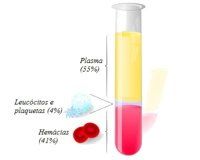 O sangue é composto por plasma e elementos figurados.