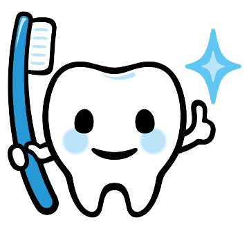 Os dentes são importantes no processo de digestão e merecem, portanto, cuidados