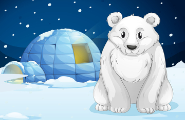 Os ursos-polares vivem em regiões extremamente geladas