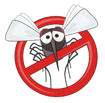 Destruir os criadouros do mosquito é a melhor forma de nos protegermos contra a febre amarela