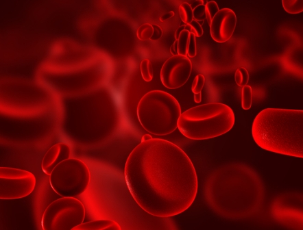 A hemácia contém hemoglobina que dá cor ao sangue