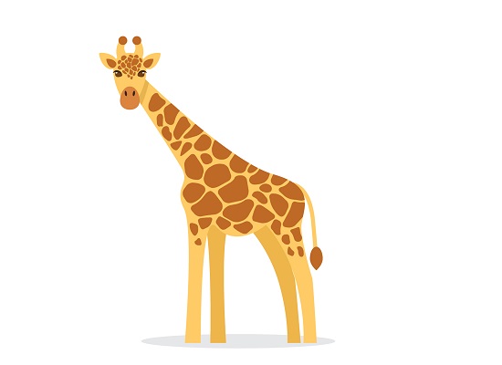 As girafas são os animais mais altos do mundo
