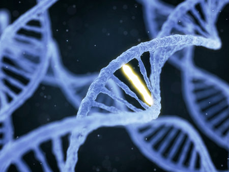 Mutações são alterações que ocorrem no material genético