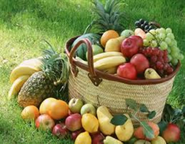 As frutas são consideradas uma importante aquisição evolutiva das plantas, pois protegem as sementes