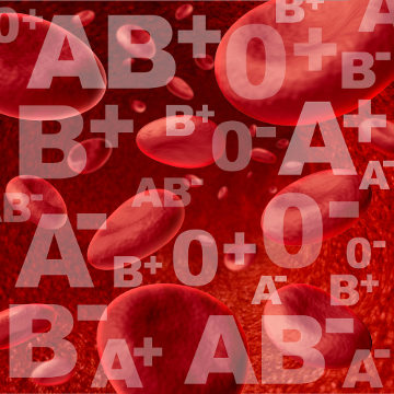 Os diferentes tipos de sangue formam o sistema ABO