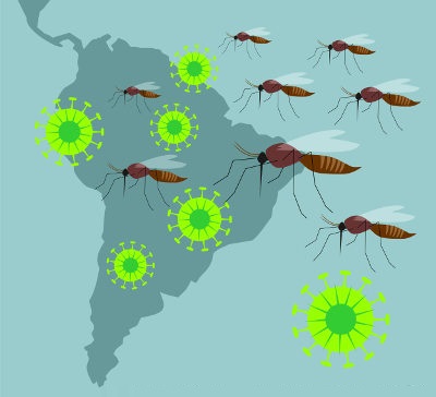 Provavelmente o vírus da zika chegou ao Brasil na Copa do Mundo de 2014