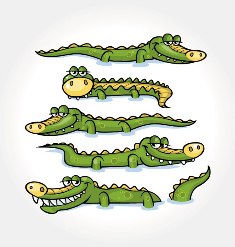 Os crocodilos são diferentes dos jacarés