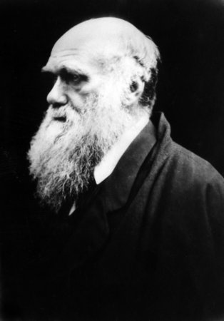 A Teoria da Seleção Natural foi proposta por Charles Darwin