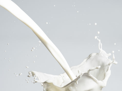 O leite é um importante alimento para o nosso dia a dia