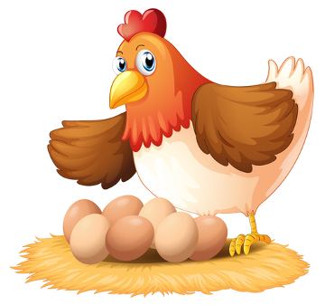 As diferentes colorações da casca do ovo estão relacionadas com a raça da galinha