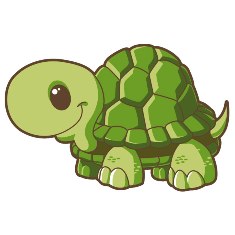 Os jabutis são frequentemente confundidos com tartarugas