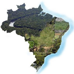O território brasileiro abriga uma grande diversidade de biomas