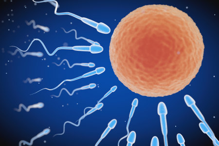 Representação de espermatozoides indo em direção a um óvulo.