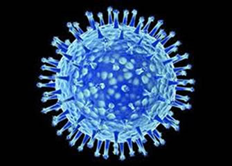 O vírus que causa a gripe se chama influenza
