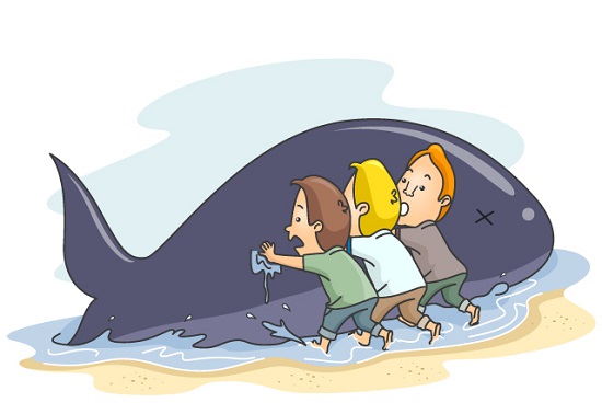 Ilustração de 3 pessoas empurrando uma baleia encalhada de volta para o mar.