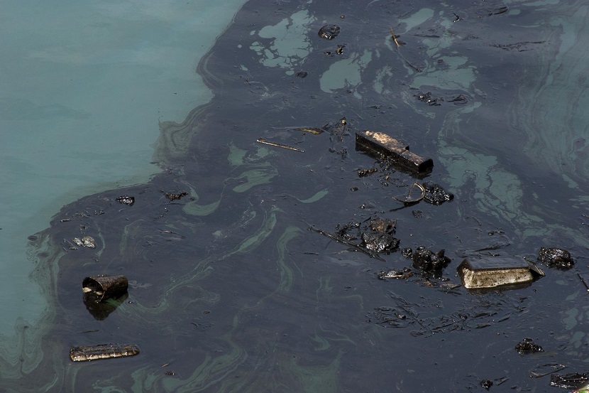 Os acidentes com derramamento de petróleo causam a morte de peixes e afetam a economia local
